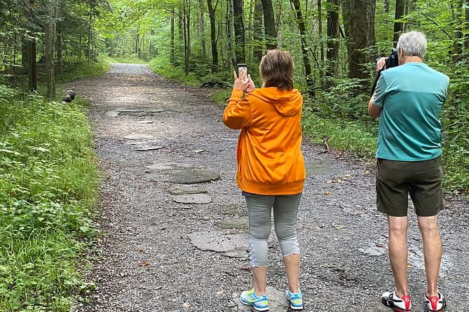 Over the Top Tour in Oconaluftee - The Guides and Reviews