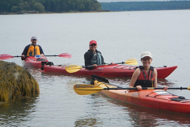 Oyster Farm & Complimentary Tasting Sea Kayak Tour in Casco Bay - The Oyster Tasting Experience