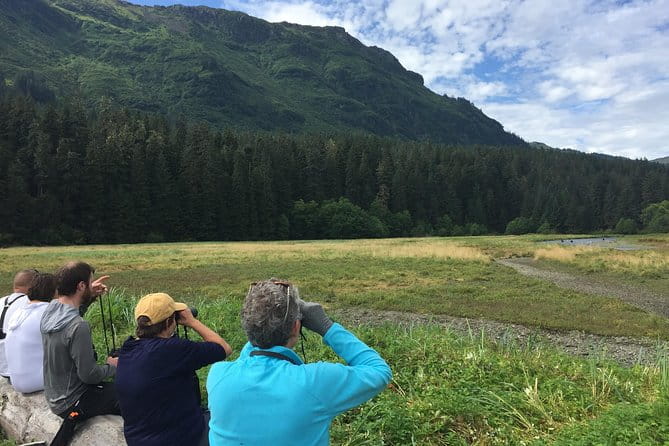 Pack Creek Brown Bear Viewing Juneau - The Cost and Its Value