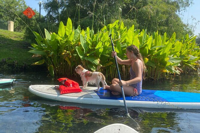 Paddle with Pups in Paradise - Paddleboard or Kayak - The Itinerary and What to Expect