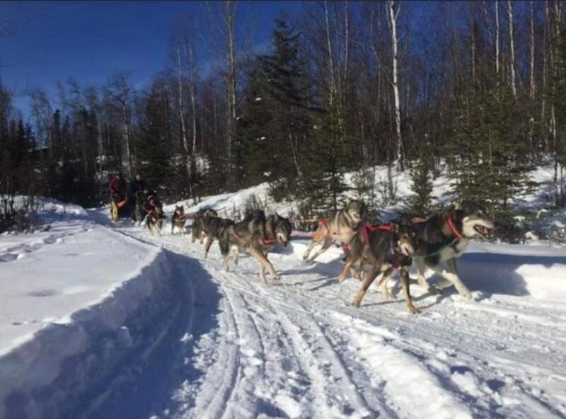Palmer: "Dogs and Glaciers" Sledding and Helicopter Tour - The Itinerary Breakdown