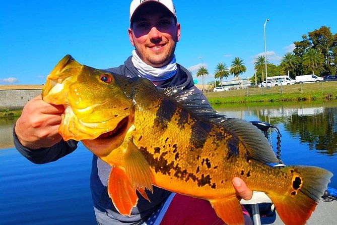 Peacock Bass Fishing Trip in Boynton Beach - Who Will Love This Trip?