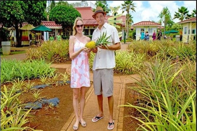 Pearl Harbor, Dole Plantation, and Polynesian Center from Maui - Authentic Feedback from Travelers