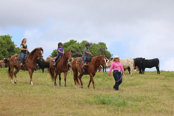 Pony Rides For Kids - Summary: Who Benefits Most?