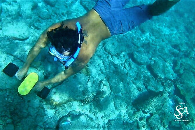 Princeville - Snorkeling Shore Excursion - Authentic Traveler Insights