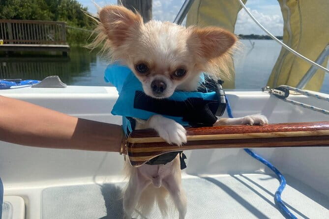 Private 2-Hour Day Sailing Experience - The Value of the Experience