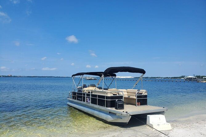 Private 2-Hour Dolphin and Sightseeing Tour - In-Depth Look at the Itinerary