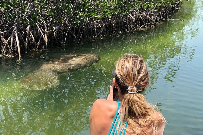 Private 2 hour Mangrove Ecotour - Why This Tour Offers Great Value