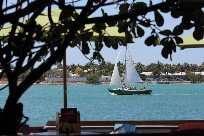 Private 90-Minute Harbor Sailing Charter in Key West - What You’ll See and Do During the 90 Minutes