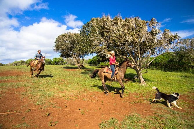 Private Advanced Trail Ride - Practical Details and What to Expect