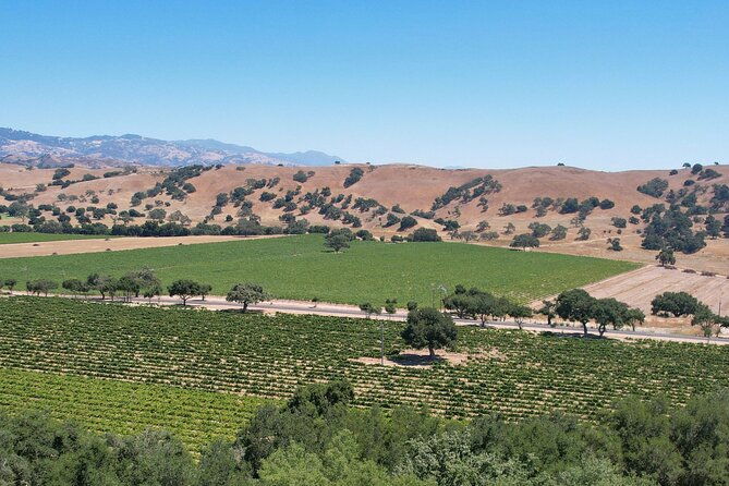 Private All-Inclusive 3-Winery SYV Tour from Santa Barbara - Final Thoughts: Is This Tour Worth It?