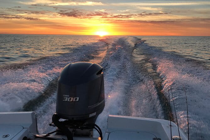 Private boat offering dolphin watching, island excursions and nature tours - Wildlife and Landscape Views