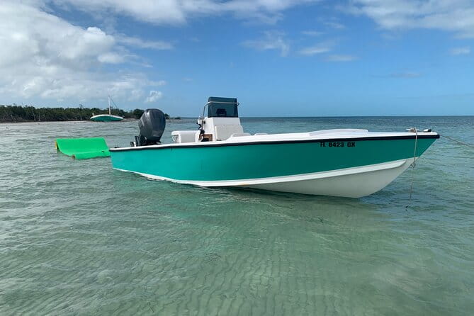 Private Boat Tour to Sand Bar Snorkel Dolphins and Sunset - Wildlife and Dolphin Encounters