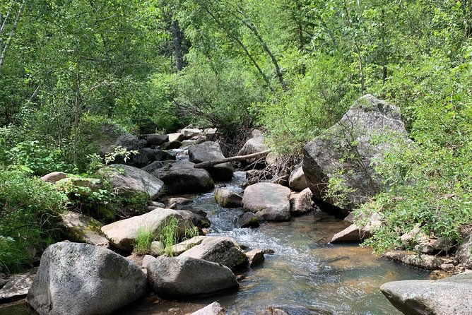 Private Custer State Park Safari and Hiking Tour - The Sum Up: Why This Tour Offers Great Value