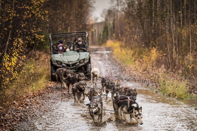 Private Fall Foliage Mushing Cart Ride in Fairbanks - Why This Tour Stands Out