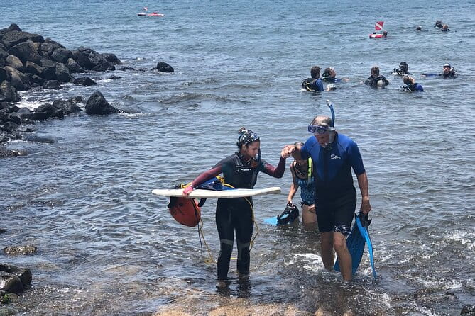 Private Group Snorkel Adventure on Tropical Reef with Sea Turtles - Who Will Enjoy This Tour Most?