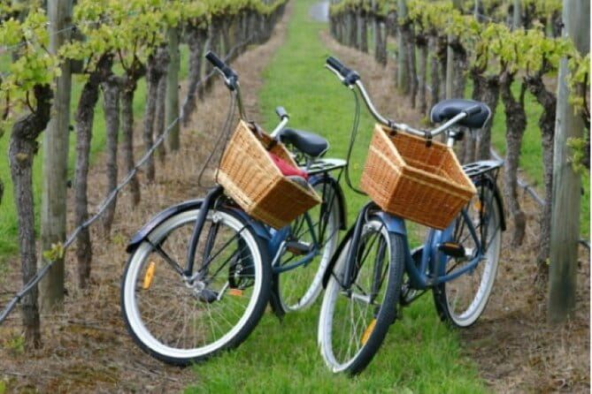Private Guided Wine Country Bike Tour in Mattituck - What’s Included and What’s Not