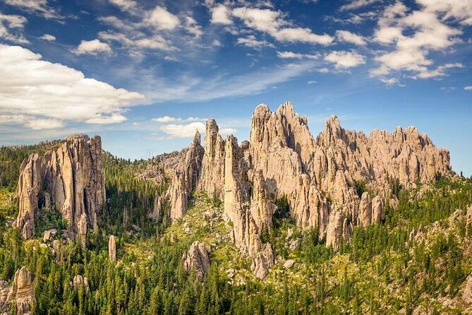 Private Half Day Mt Rushmore & Black Hills Tour - In-Depth Review of the Tour Experience