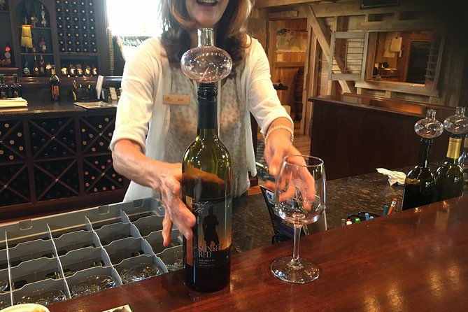 Private Loudoun County Wine Tour from DC with Stops at 3 Wineries - What Travelers Are Saying
