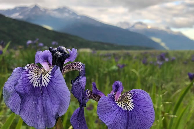 Private luxury shore excursion Skagway, AK to Emerald Lake, Yukon. - FAQ