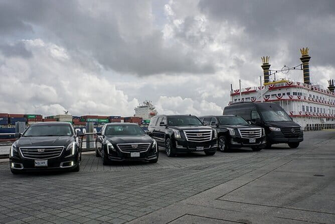 Private Round-Trip Transfer New Orleans and Louis Armstrong MSY - Who Should Choose This Service?