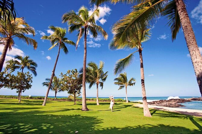 Private Snorkel Trip from Oahu on a Yacht - The Itinerary: What to Expect