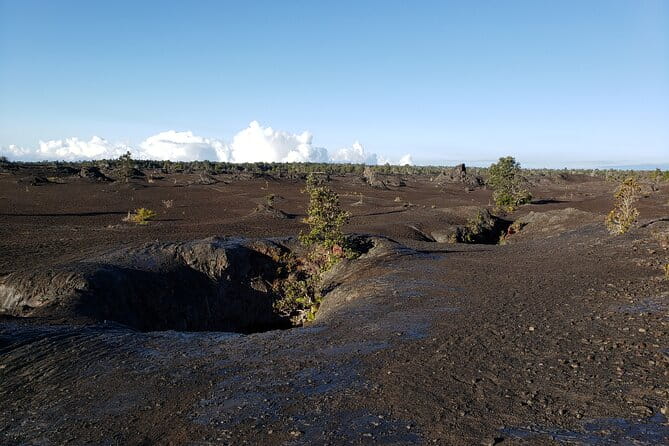 Private Tour of Hawaii Volcanoes National Park - The Reviewers Say... and Why That Matters