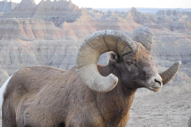 Private Tour of the Badlands with Local Experts - What’s Included and What to Consider