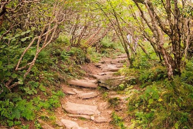 Private Waterfall and Blue Ridge Parkway Tour with a Naturalist - FAQ
