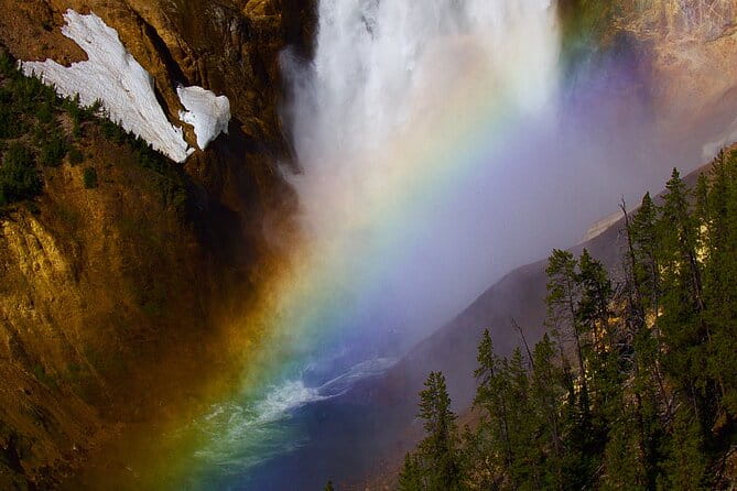 Private Yellowstone Journey from Gardiner, MT - Authentic Experiences and Traveler Feedback