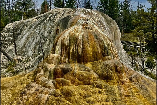 Private Yellowstone Wildlife and Photo Tour’s Upper Loop Cody Wy - What’s Included and What to Expect