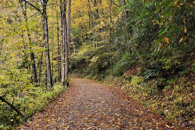 Privately Guided Full Day Hike - Why People Love This Hike