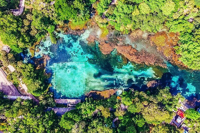 Rainbow Springs: Clear Kayak & Snorkel Eco Tour - The Paddle: Rainbow River and Indian River Creek