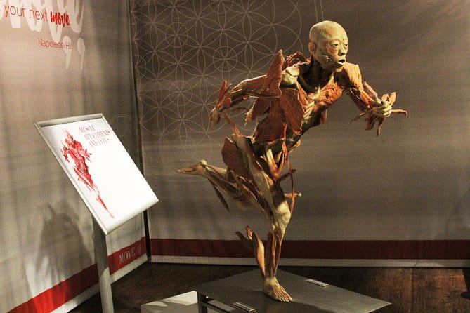 Real Bodies at Horseshoe Las Vegas - The Journey Beyond: The Human Experience