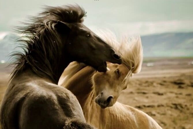 Red Canyon’s Best Of The Wild West Wild Mustang+Rafting Adventure - FAQs