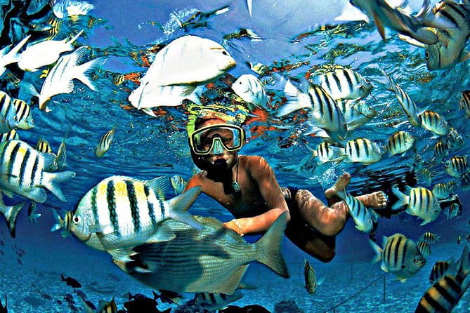 Reef Snorkel & Ocean Paddle Adventure in Fort Lauderdale Beach - FAQ