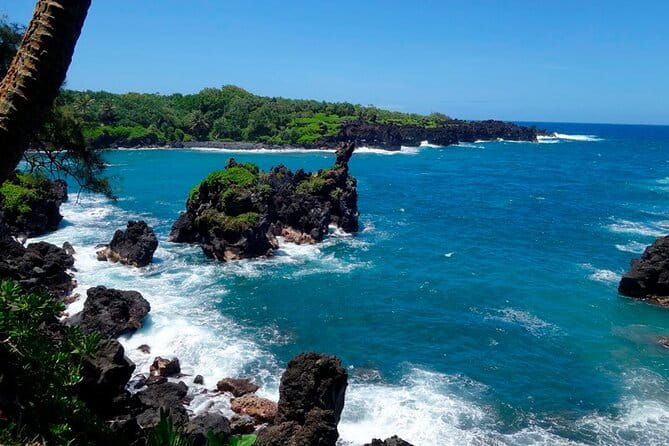 Road to Hana Rainforest, Black Sand Beach, Waterfalls & Lunch - How the Tour Works: Practical Details and What You Can Expect