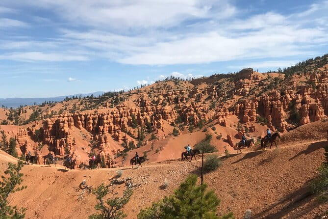 Ruby's Horseback Adventures Utah Thunder Mt. 4 Hour Ride - What to Expect on the Trail