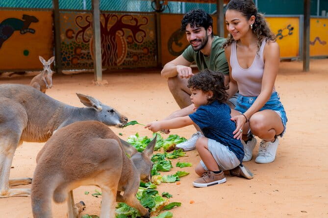 San Antonio Zoo General Admission Ticket - Frequently Asked Questions
