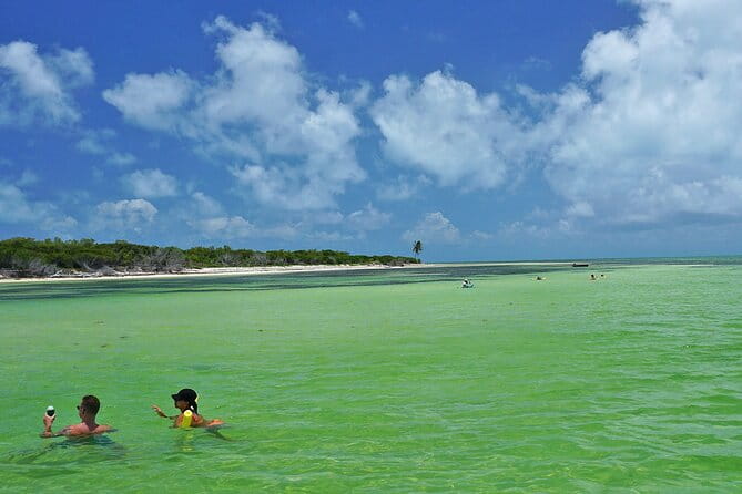 Sandbar Excursion in Key West - Snorkeling and Marine Life