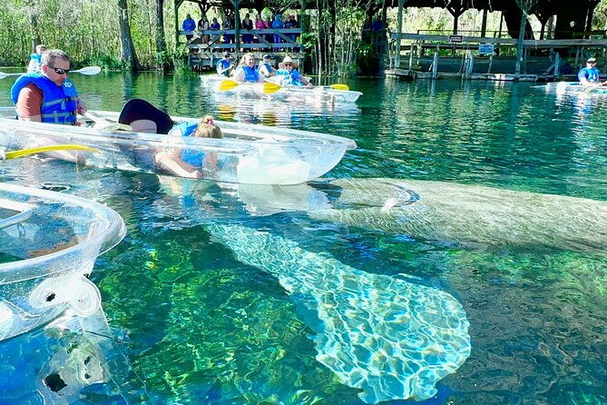 Sassy’s Silver Springs Kayak and Paddleboard Tours - Who Will Love It?