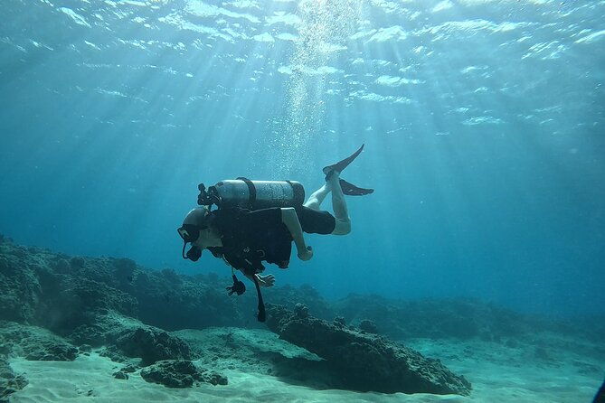 SCUBA Dive at Electric Beach with Photos -No Certification Needed - The Marine Environment and Wildlife Encounters