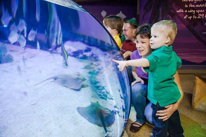 SEA LIFE Aquarium Arizona Admission Ticket - The Location and Convenience