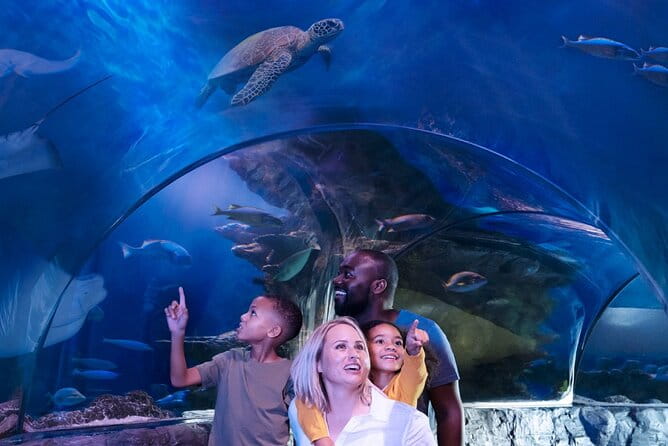 SEA LIFE Aquarium Minnesota Admission Ticket at Mall of America - Why Visit SEA LIFE Minnesota?