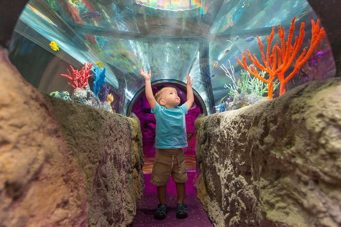 SEA LIFE Michigan Aquarium Admission Ticket - Who Should Visit?