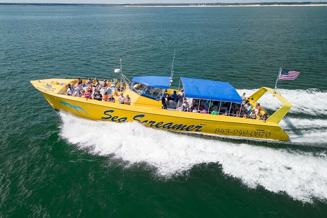 Sea Screamer Cruise - 2 Hour Dolphin Watch Tour in South Carolina - The Experience: A Closer Look