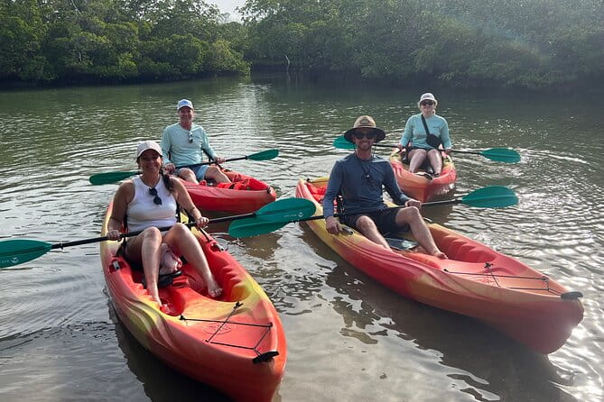 Self Guided EcoTour: Clear/Standard Kayaks -Bonita Springs - Equipment & Included Amenities