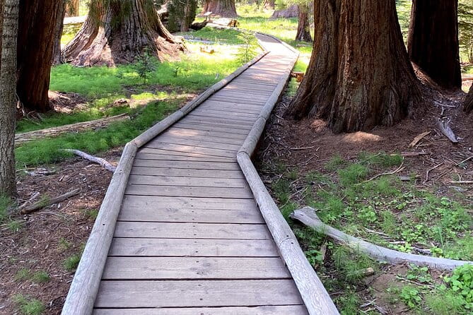 Semi Private Tour to Sequoia National Park with Lunch - The Practical Side: Transportation, Timing, and Comfort
