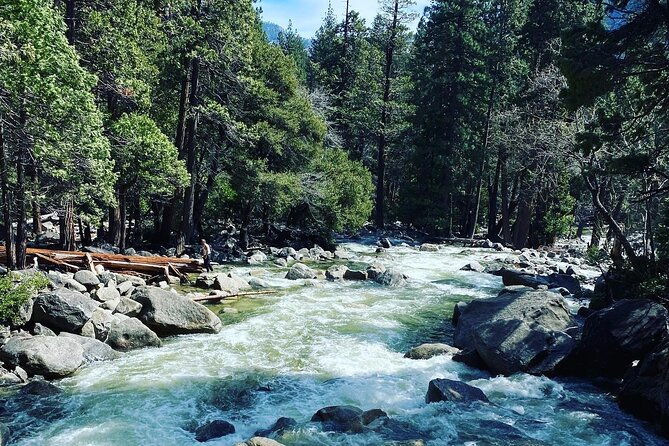 Semi Private Yosemite Valley Tour with Hotel Pick Up and Lunch - An In-Depth Look at the Itinerary