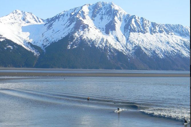Seward to Anchorage Cruise Transfer and Private Tour - Practical Tips for Travelers